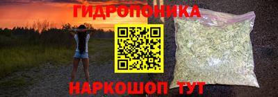 эйфоретик Можга