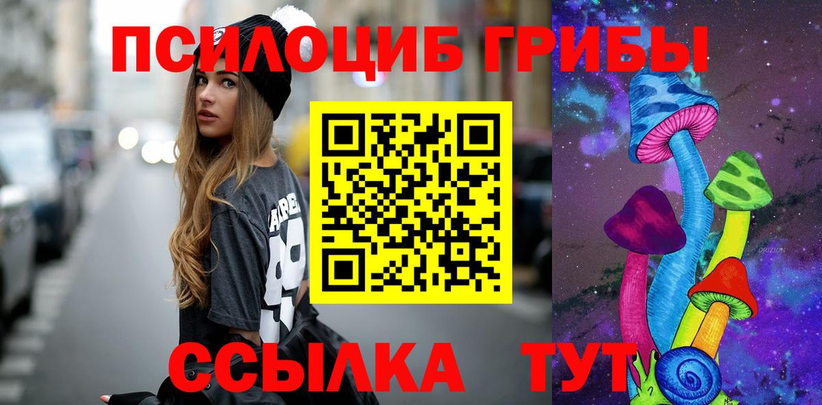 Галлюциногенные грибы MAGIC MUSHROOMS Чернушка