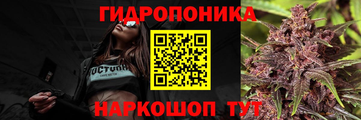 Бошки Шишки план  Конопля план  Вход с VPN  Чернушка  Каннабис THC 21%  Бошки марихуана Amnesia 